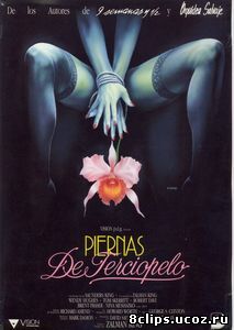 Дикая орхидея 2: Два оттенка грусти (1991)